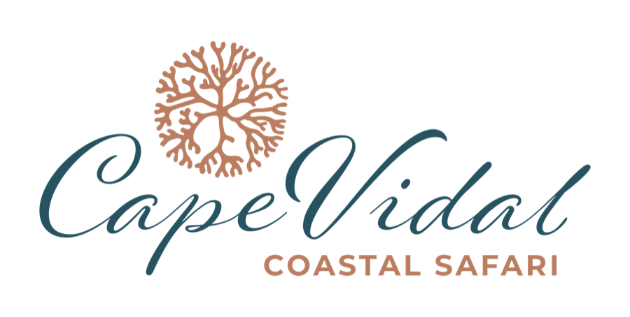 Cape Vidal Coastal Safari